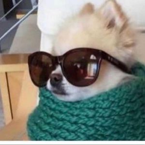 Meet your Posher, Lia